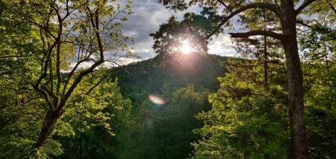 258 Rippling Waters Road Blairsville GA 30512