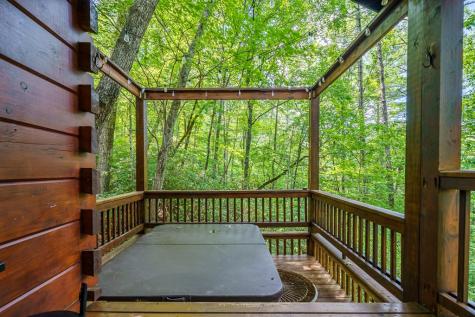 252 Granny Branch Drive Blue Ridge GA 30513