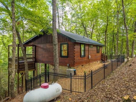 252 Granny Branch Drive Blue Ridge GA 30513