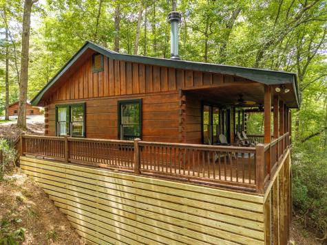 252 Granny Branch Drive Blue Ridge GA 30513