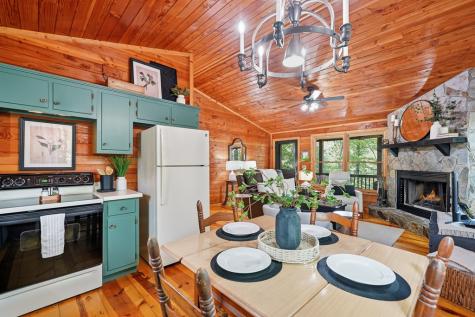 252 Granny Branch Drive Blue Ridge GA 30513