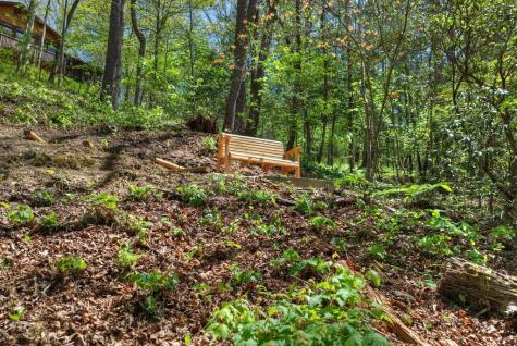 509 Ponderosa Ellijay GA 30540