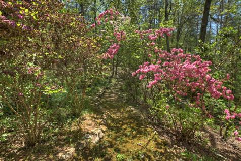 509 Ponderosa Ellijay GA 30540