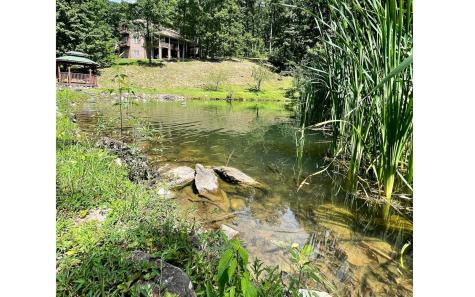 50 Wilderness Lane Marble NC 28905