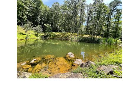 50 Wilderness Lane Marble NC 28905