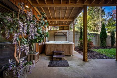 50 W Shalom Court Blue Ridge GA 30513