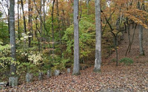 49 Hickory Terrace Blairsville GA 30512
