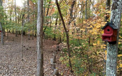 49 Hickory Terrace Blairsville GA 30512