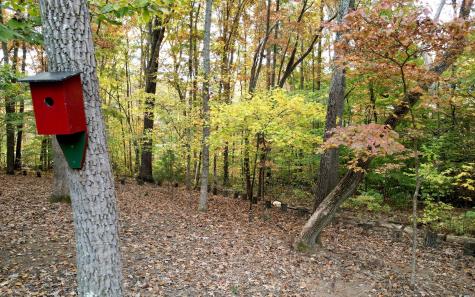 49 Hickory Terrace Blairsville GA 30512