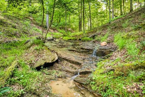 285 Julep Circle Ellijay GA 30540