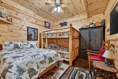 171 Mountain Lake Drive Blue Ridge GA 30513