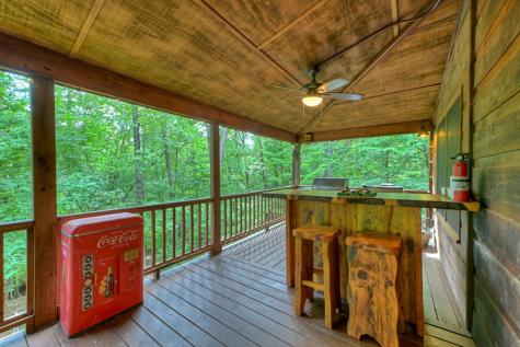 171 Mountain Lake Drive Blue Ridge GA 30513