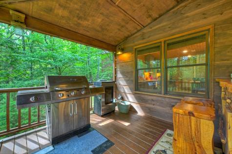 171 Mountain Lake Drive Blue Ridge GA 30513