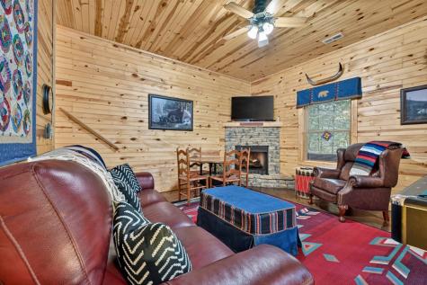 171 Mountain Lake Drive Blue Ridge GA 30513