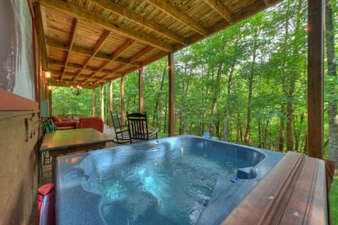 171 Mountain Lake Drive Blue Ridge GA 30513