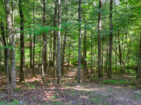 171 Mountain Lake Drive Blue Ridge GA 30513