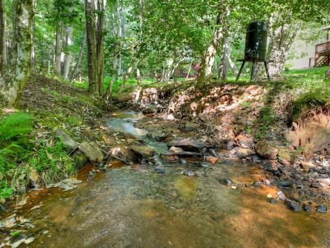 171 Mountain Lake Drive Blue Ridge GA 30513