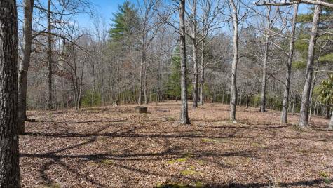 1262 Maple Grove Road Morganton GA 30560