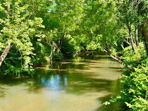 6389 Old Hwy 64w Warne NC 28909