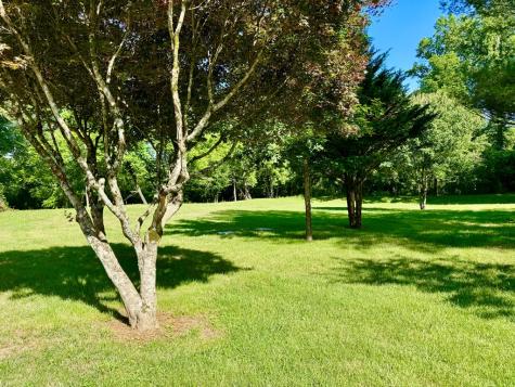 6389 Old Hwy 64w Warne NC 28909