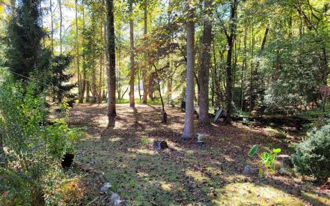 1492 Pine Log Church Road Brasstown NC 28902