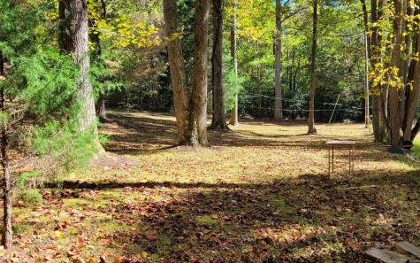 1492 Pine Log Church Road Brasstown NC 28902