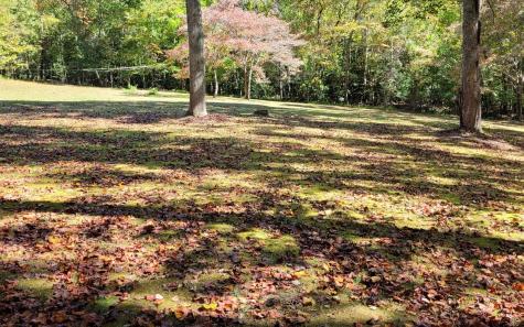 1492 Pine Log Church Road Brasstown NC 28902