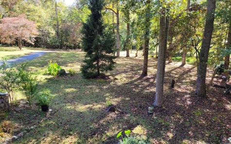 1492 Pine Log Church Road Brasstown NC 28902