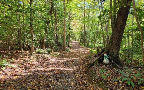 1492 Pine Log Church Road Brasstown NC 28902