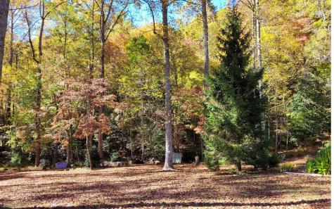 1492 Pine Log Church Road Brasstown NC 28902