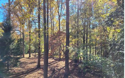 1492 Pine Log Church Road Brasstown NC 28902