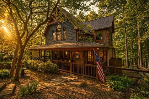 236 Logan Drive Mineral Bluff GA 30559