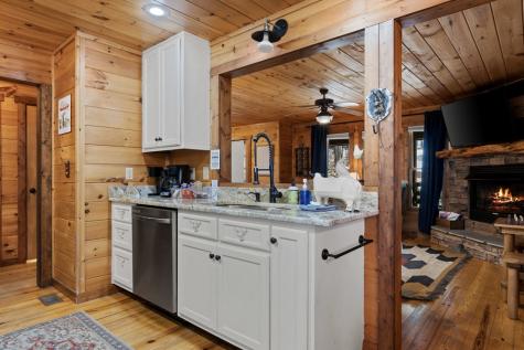 236 Logan Drive Mineral Bluff GA 30559