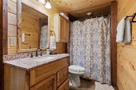236 Logan Drive Mineral Bluff GA 30559