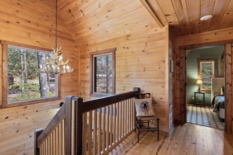 236 Logan Drive Mineral Bluff GA 30559
