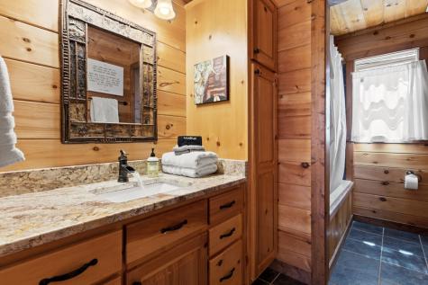 236 Logan Drive Mineral Bluff GA 30559
