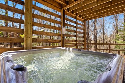 236 Logan Drive Mineral Bluff GA 30559