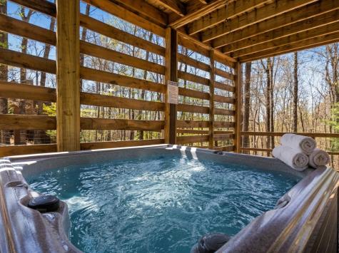 236 Logan Drive Mineral Bluff GA 30559