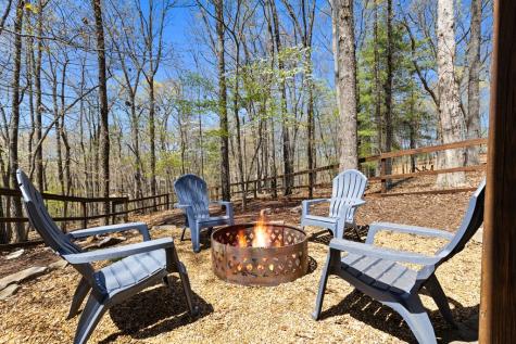 236 Logan Drive Mineral Bluff GA 30559