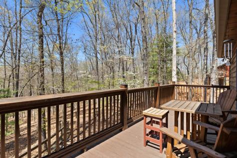 236 Logan Drive Mineral Bluff GA 30559