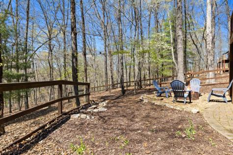 236 Logan Drive Mineral Bluff GA 30559