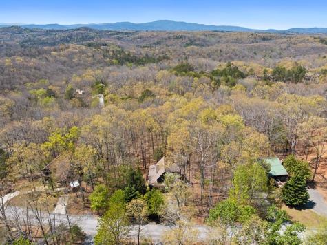 236 Logan Drive Mineral Bluff GA 30559