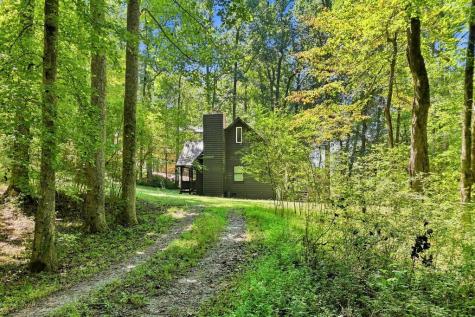 175 Trails End Road Blue Ridge GA 30513