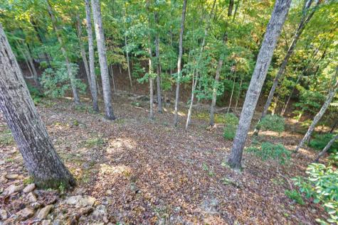 361 Bluebird Lane Blue Ridge GA 30513