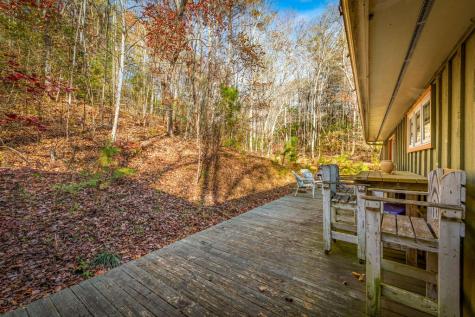 208 Bullen Gap Road Blue Ridge GA 30513