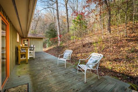 208 Bullen Gap Road Blue Ridge GA 30513