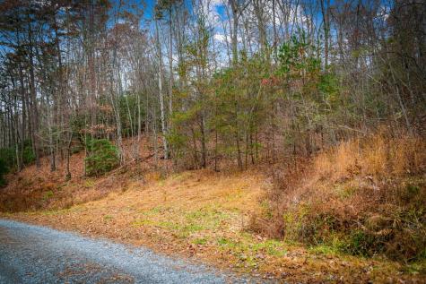 208 Bullen Gap Road Blue Ridge GA 30513