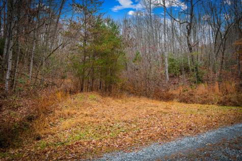 208 Bullen Gap Road Blue Ridge GA 30513