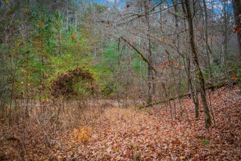 208 Bullen Gap Road Blue Ridge GA 30513