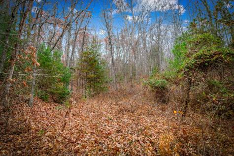 208 Bullen Gap Road Blue Ridge GA 30513